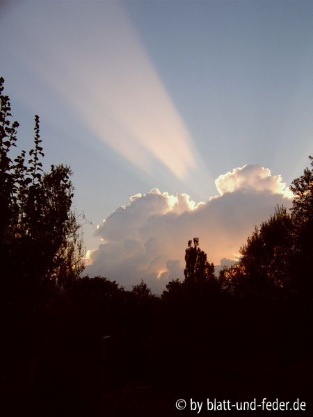 Wolke 1