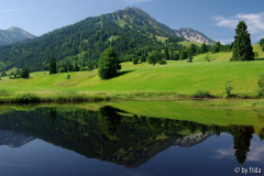moorweiher.jpg