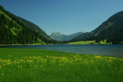 vilsalpsee2.jpg