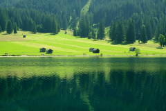 vilsalpsee4.jpg
