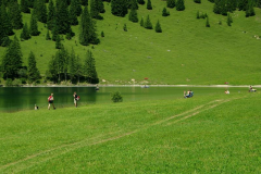 vilsalpsee6.jpg