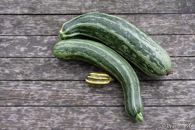 Zucchini - zu groß