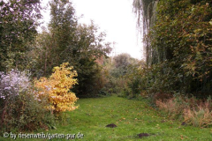 auf der grossen wiese - 3 anfang oktober