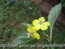 unbekannt von oben