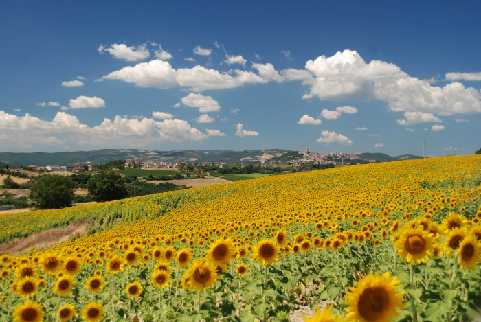 Blick auf Todi