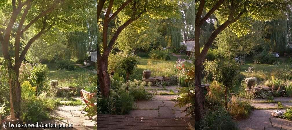 wohnzimmerblick 2005-05  bis 2005-07