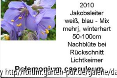 Samenbriefchen fertig