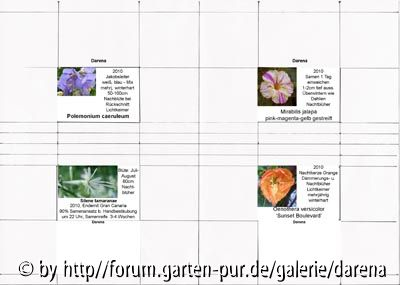 Samenbriefchen Druckbogen