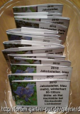 Samenbriefchen Polemonium