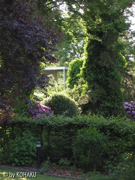 Gartengrenze Westen