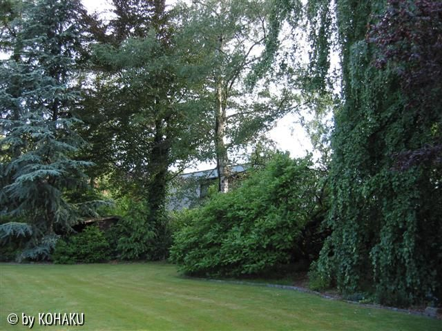 Gartengrenze Suedwest