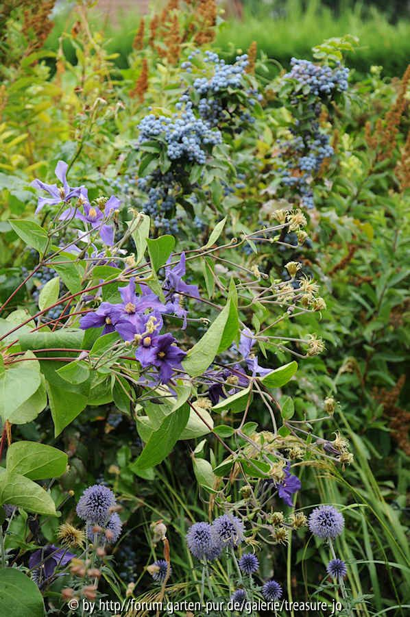 Blaue Kombination 2
