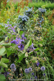 Blaue Kombination 2