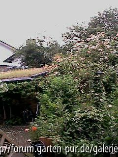begrüntes Gartenhäuschen