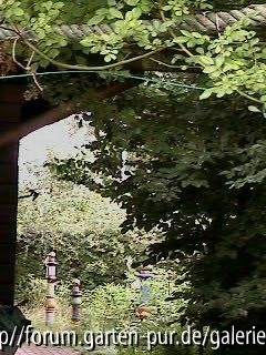 Blick nach vorn
