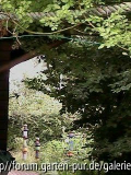 Blick nach vorn