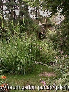 Blick zur hinteren Gartengrenze