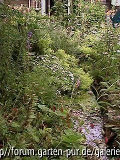 Wassergraben