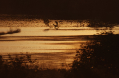 Lago die Montedoglio 2