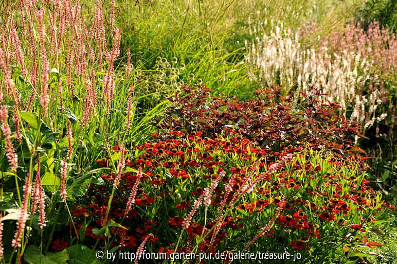 Hermannshof 2010-08