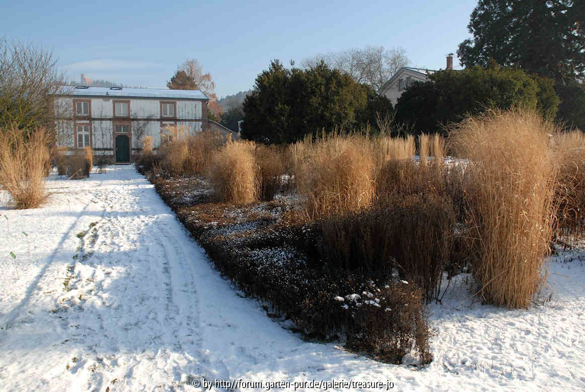 Hermannshof im Winter 1
