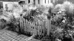 Herbst/Winterapekt Ende Nov Schlossgärtchen S/W
