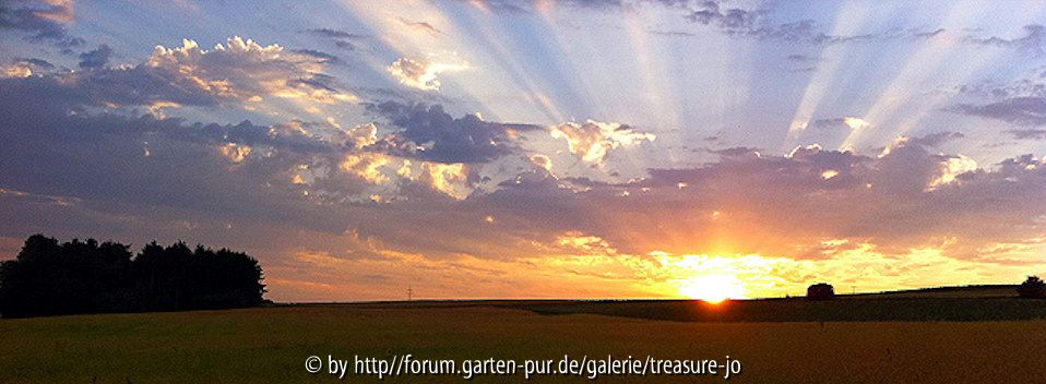 Tolles BIld von Pitt