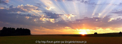 Tolles BIld von Pitt