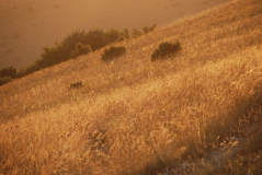 Monte Subasio 2