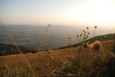 Monte Subasio 1