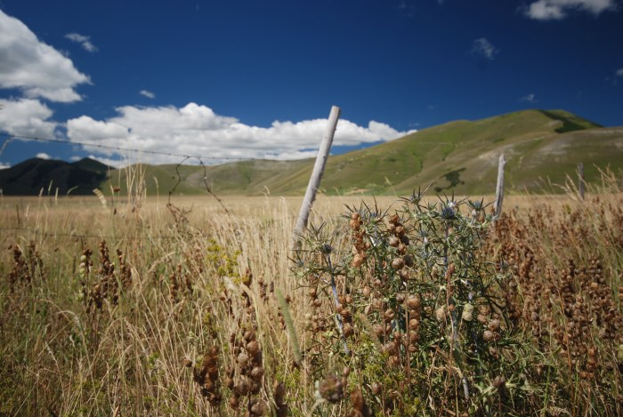 Castelluccio Ebene