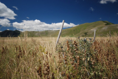 Castelluccio Ebene