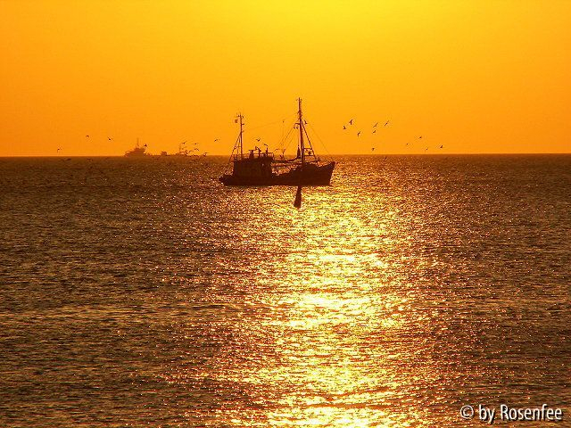Fischkutter auf Sylt