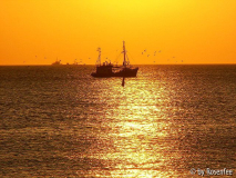 Fischkutter auf Sylt