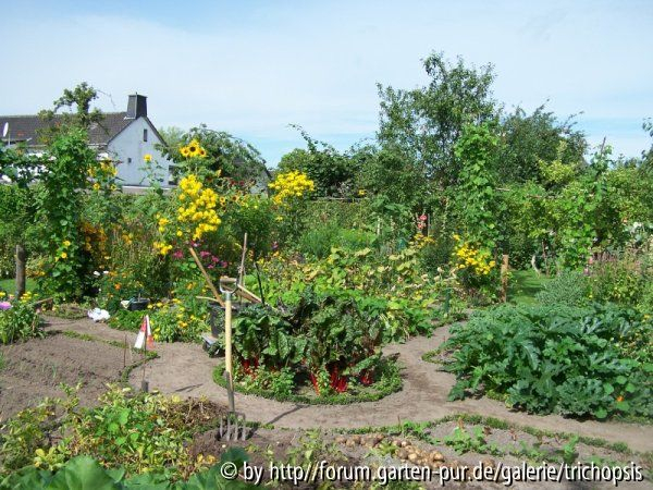 Gemüsegarten