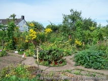 Gemüsegarten