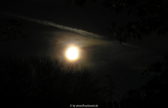 Mond (Langzeitbelichtung2)