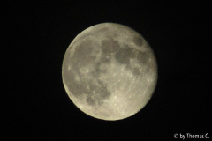 Vollmond