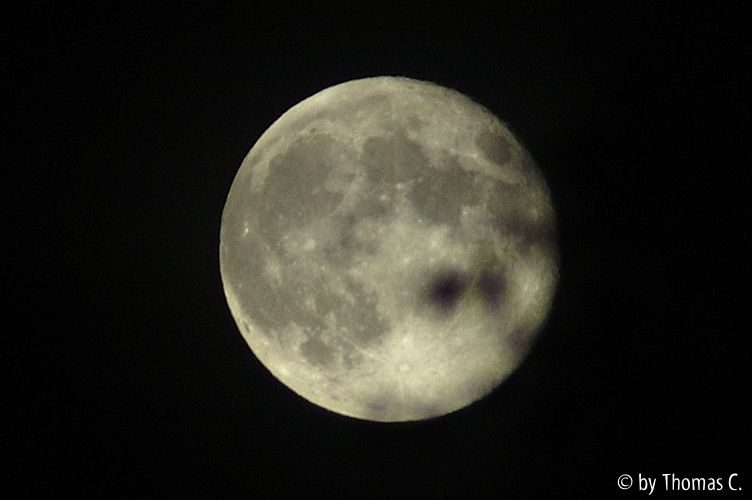 Mond - Vollmond mit Zweig-Schatten