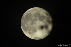 Mond - Vollmond mit Zweig-Schatten