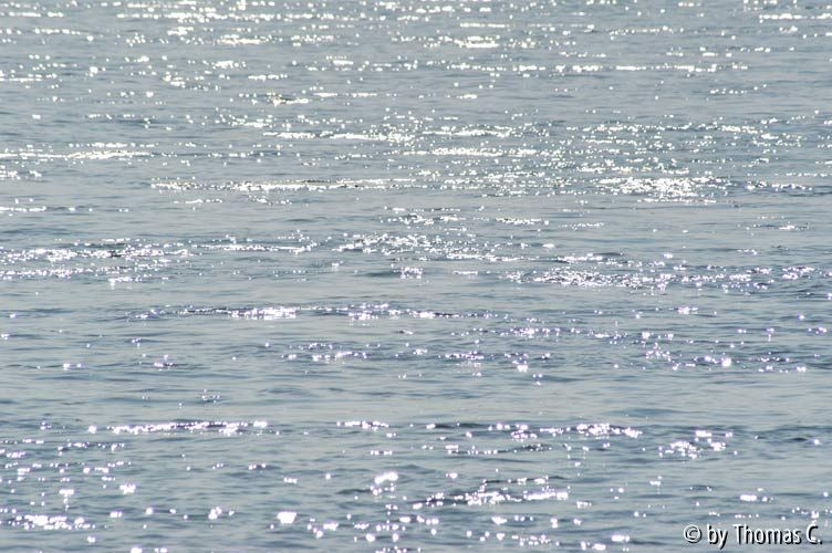 Rhein bei Porz - silbernes Herbstgleißen