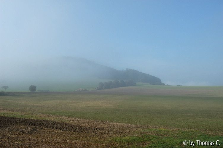 Eifel - Nebellandschaft