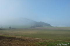 Eifel - Nebellandschaft