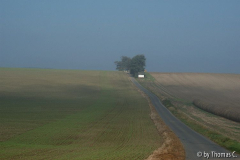 Eifel - Nebellandschaft