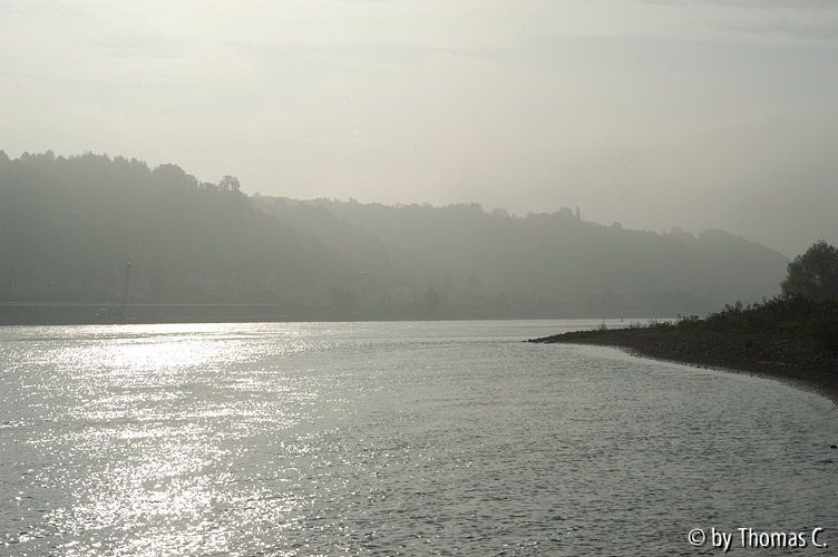 Rhein bei Sinzig - Silbergleiß