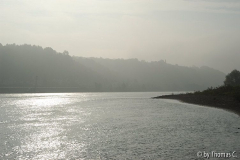 Rhein bei Sinzig - Silbergleiß