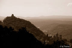 Drachenfels und Rhein