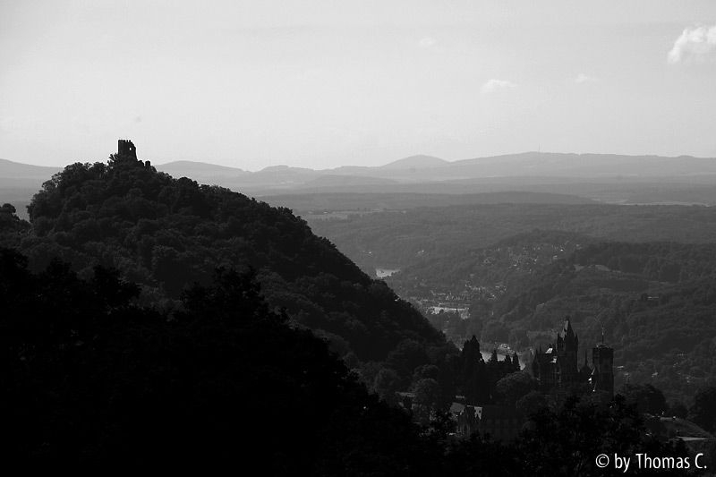 Drachenfels und Rhein / sw