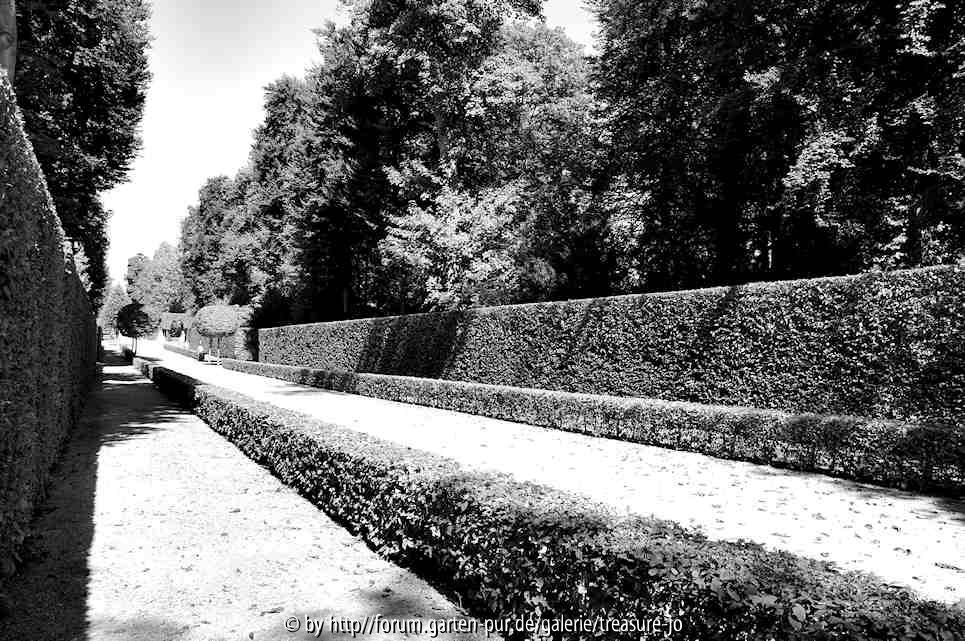 Linien 1