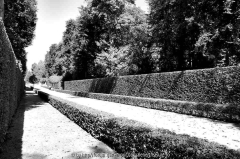 Linien 1